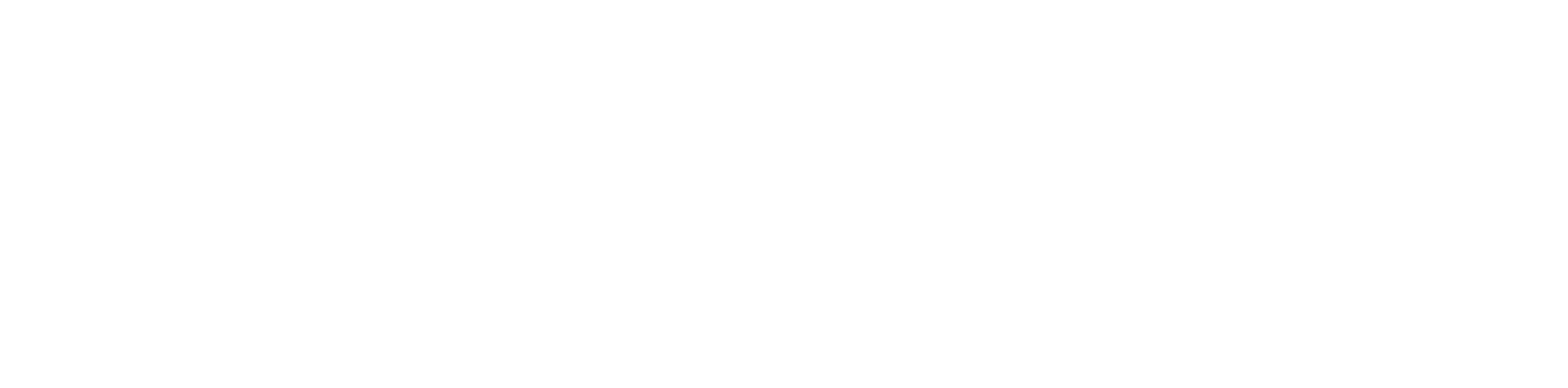 Garment IO