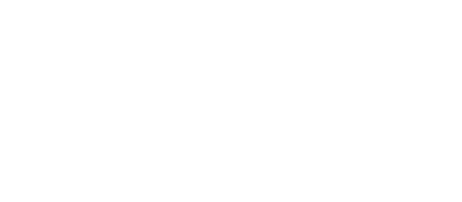 Tribe X
